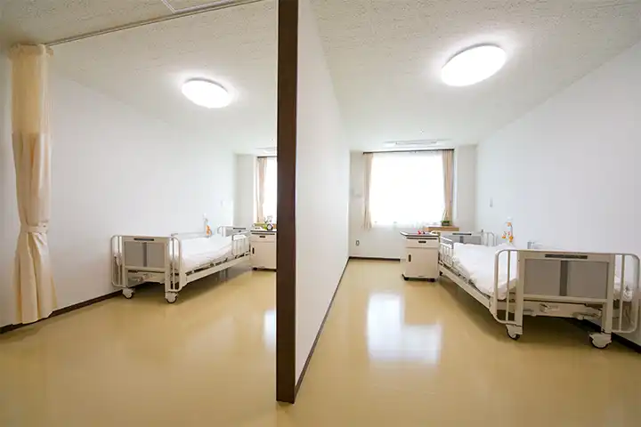 「Cタイプ」の写真